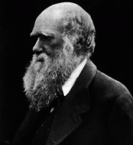 darwin_portrait darwin_portrait